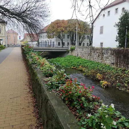 Tulip Family Apartment