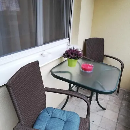 Apartment Tulip Family *