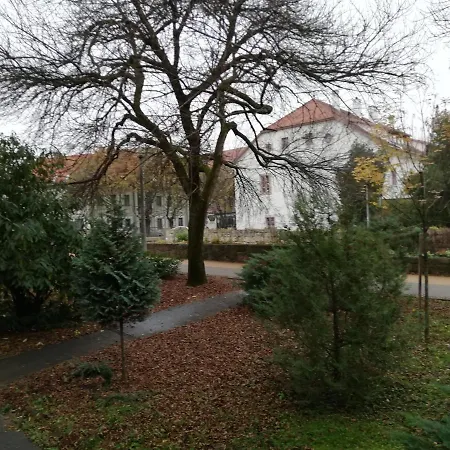 Tulip Family * Erlau