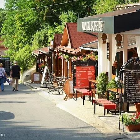 Tulip Family Apartment