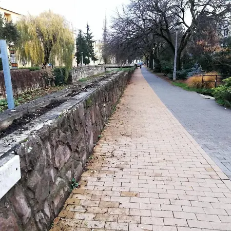 Apartment Tulip Family